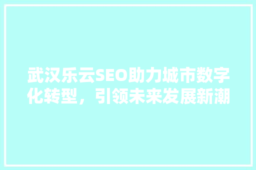 武汉乐云SEO助力城市数字化转型，引领未来发展新潮流