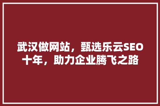 武汉做网站，甄选乐云SEO十年，助力企业腾飞之路