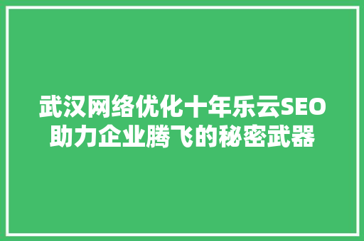 武汉网络优化十年乐云SEO助力企业腾飞的秘密武器
