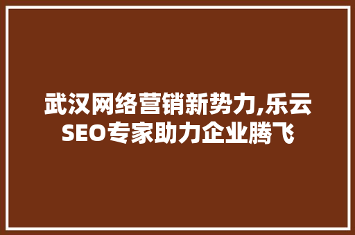 武汉网络营销新势力,乐云SEO专家助力企业腾飞