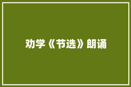 彭泽SEO优化,挖掘潜力，提升网站排名与流量