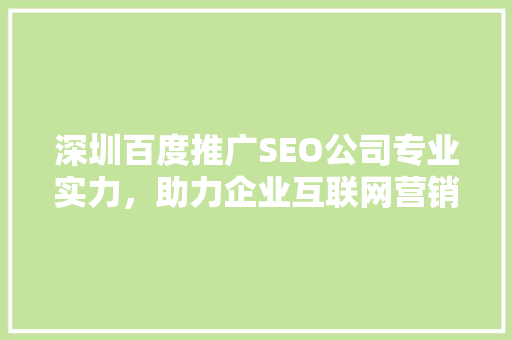 深圳百度推广SEO公司专业实力，助力企业互联网营销新高度