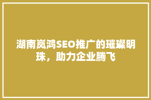 湖南岚鸿SEO推广的璀璨明珠，助力企业腾飞