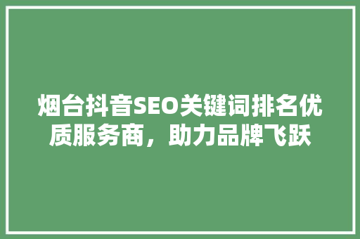 烟台抖音SEO关键词排名优质服务商，助力品牌飞跃