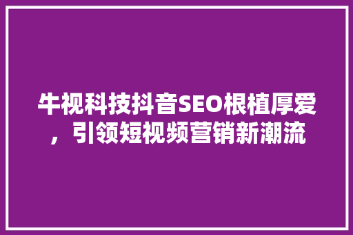 牛视科技抖音SEO根植厚爱，引领短视频营销新潮流