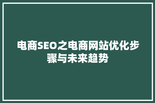 电商SEO之电商网站优化步骤与未来趋势