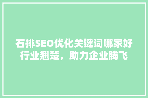 石排SEO优化关键词哪家好行业翘楚，助力企业腾飞