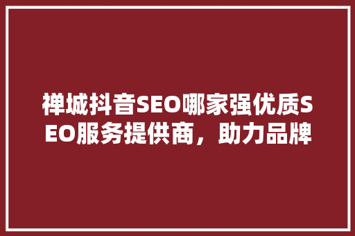 禅城抖音SEO哪家强优质SEO服务提供商，助力品牌腾飞