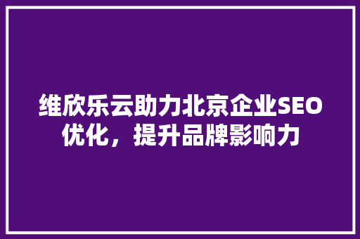 维欣乐云助力北京企业SEO优化，提升品牌影响力  第1张