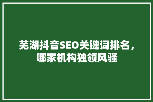 芜湖抖音SEO关键词排名，哪家机构独领风骚