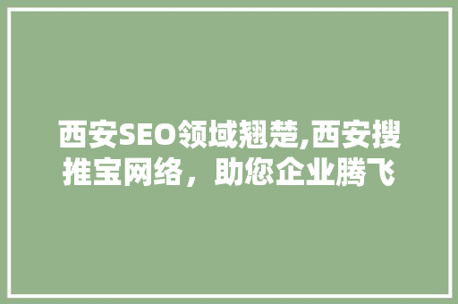 西安SEO领域翘楚,西安搜推宝网络，助您企业腾飞