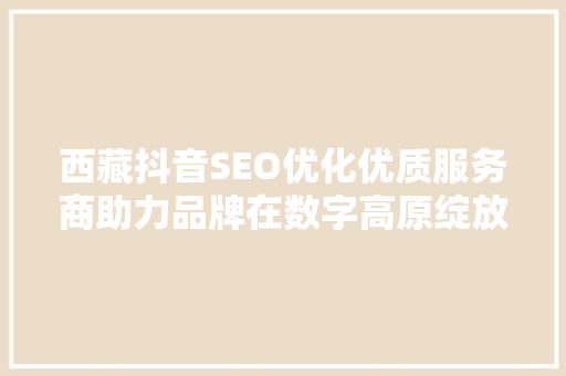 西藏抖音SEO优化优质服务商助力品牌在数字高原绽放光彩