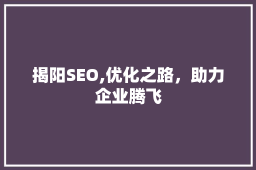 揭阳SEO,优化之路，助力企业腾飞