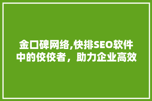金口碑网络,快排SEO软件中的佼佼者，助力企业高效提升网站排名