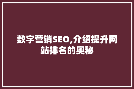 数字营销SEO,介绍提升网站排名的奥秘