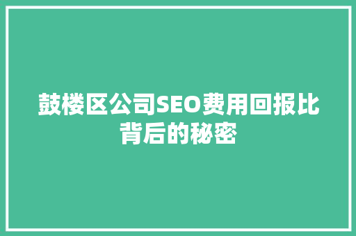 鼓楼区公司SEO费用回报比背后的秘密