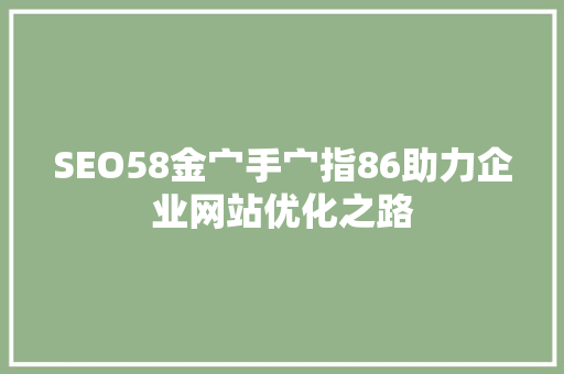 SEO58金宀手宀指86助力企业网站优化之路