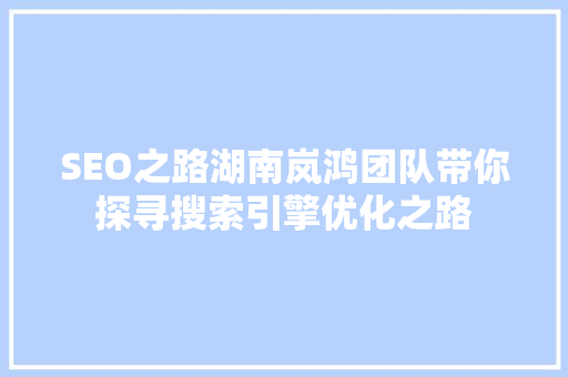 SEO之路湖南岚鸿团队带你探寻搜索引擎优化之路