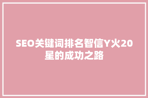 SEO关键词排名智信Y火20星的成功之路