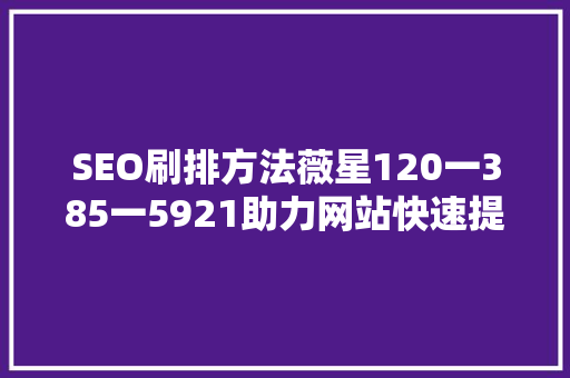 SEO刷排方法薇星120一385一5921助力网站快速提升排名