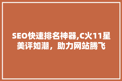SEO快速排名神器,C火11星美评如潮，助力网站腾飞