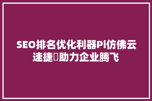 SEO排名优化利器Pi仿佛云速捷乚助力企业腾飞