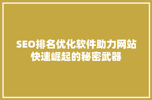 SEO排名优化软件助力网站快速崛起的秘密武器