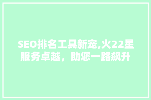 SEO排名工具新宠,火22星服务卓越，助您一路飙升