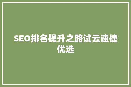 SEO排名提升之路试云速捷优选