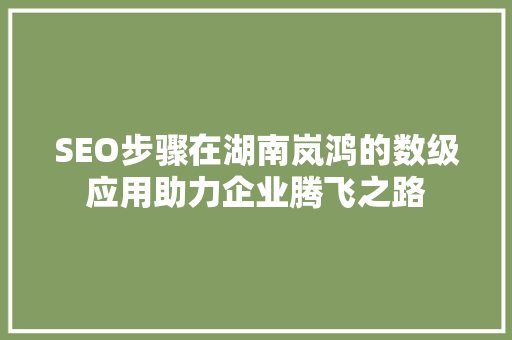 SEO步骤在湖南岚鸿的数级应用助力企业腾飞之路