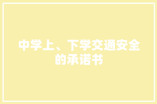 SEO的魔力一个人如何实现SEO效果的奇迹