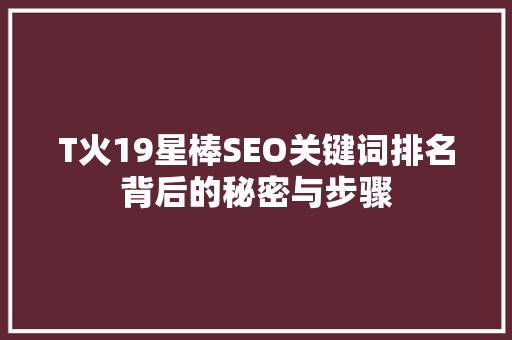 T火19星棒SEO关键词排名背后的秘密与步骤