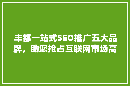 丰都一站式SEO推广五大品牌，助您抢占互联网市场高地