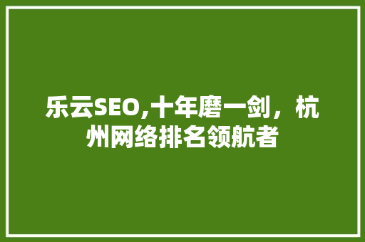 乐云SEO,十年磨一剑，杭州网络排名领航者