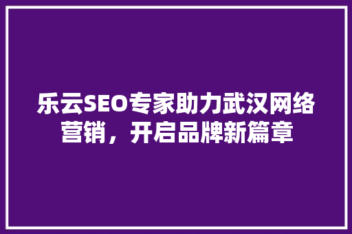 乐云SEO专家助力武汉网络营销，开启品牌新篇章