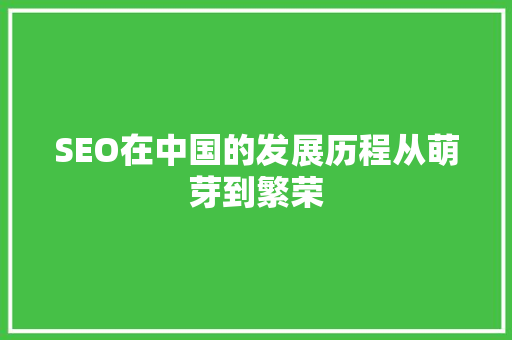 SEO在中国的发展历程从萌芽到繁荣