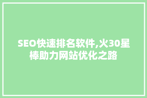 SEO快速排名软件,火30星棒助力网站优化之路