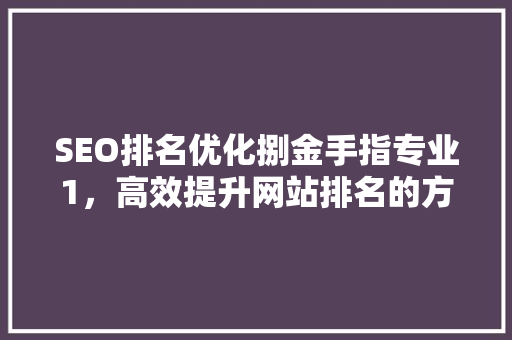 SEO排名优化捌金手指专业1，高效提升网站排名的方法