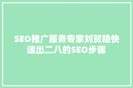 SEO推广服务专家刘贺稳快速出二八的SEO步骤