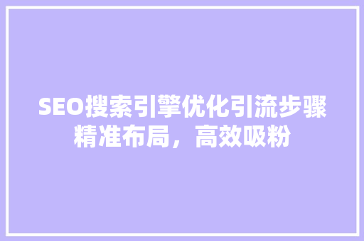 SEO搜索引擎优化引流步骤精准布局，高效吸粉
