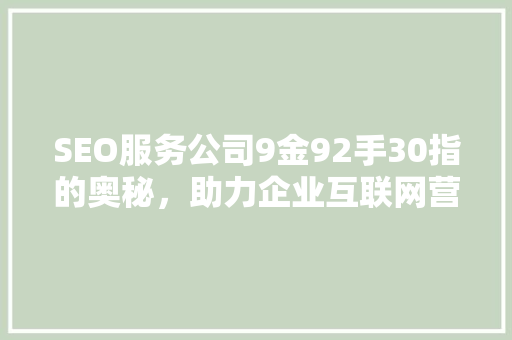 SEO服务公司9金92手30指的奥秘，助力企业互联网营销腾飞