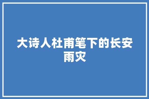 SEO综合零首选金手指二三谈网站优化之路