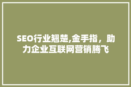 SEO行业翘楚,金手指，助力企业互联网营销腾飞