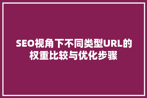SEO视角下不同类型URL的权重比较与优化步骤