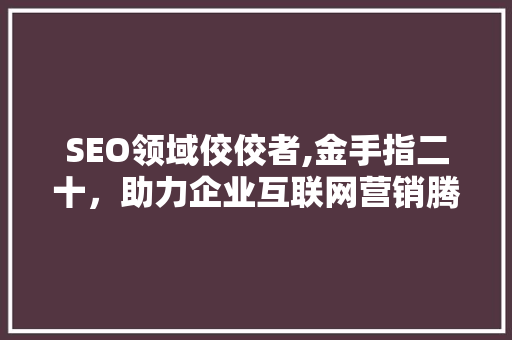 SEO领域佼佼者,金手指二十，助力企业互联网营销腾飞