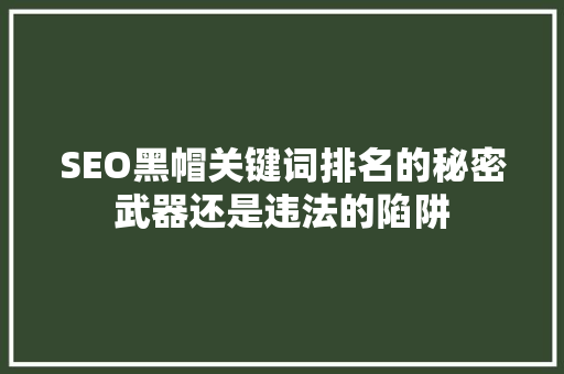 SEO黑帽关键词排名的秘密武器还是违法的陷阱