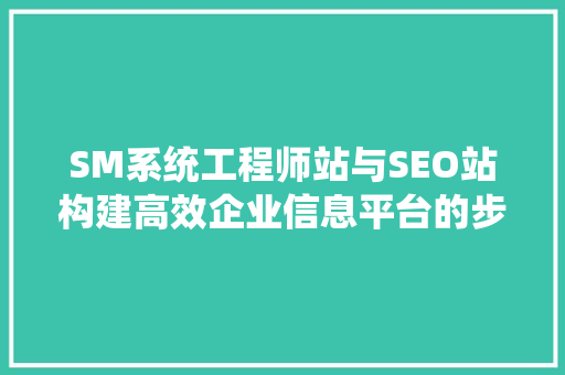 SM系统工程师站与SEO站构建高效企业信息平台的步骤讨论