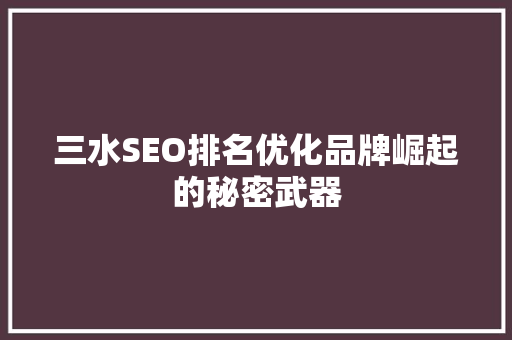 三水SEO排名优化品牌崛起的秘密武器