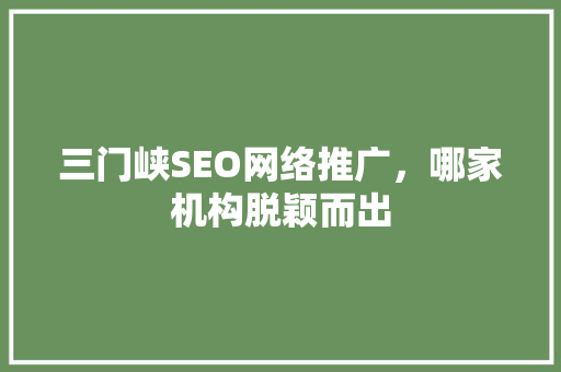三门峡SEO网络推广，哪家机构脱颖而出