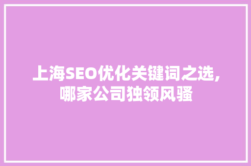 上海SEO优化关键词之选,哪家公司独领风骚